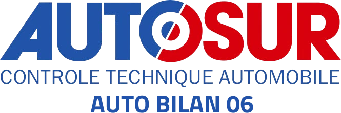 AUTOSUR AUTO BILAN 06
